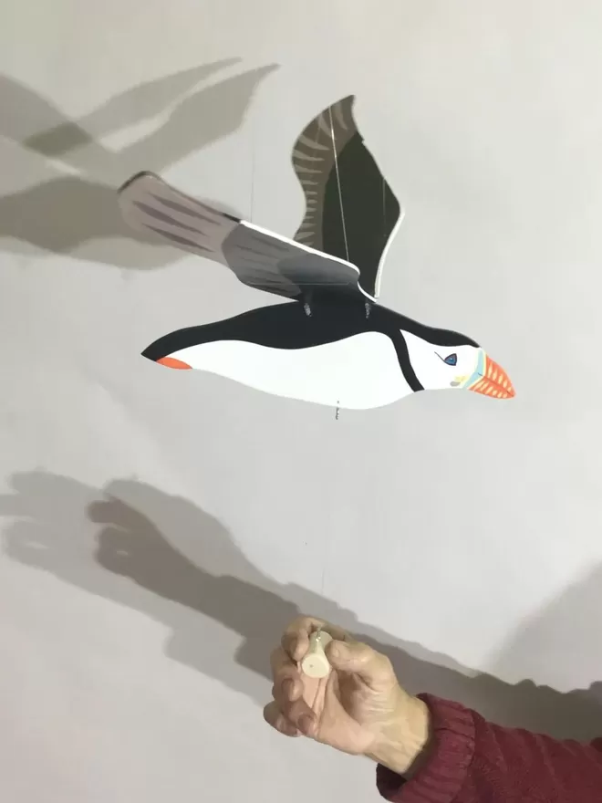 Side view of puffin with orange beak and bluck and white body