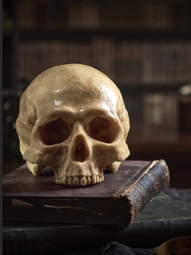 Realistic edible chocolate human skull sitting on a stack of antique books