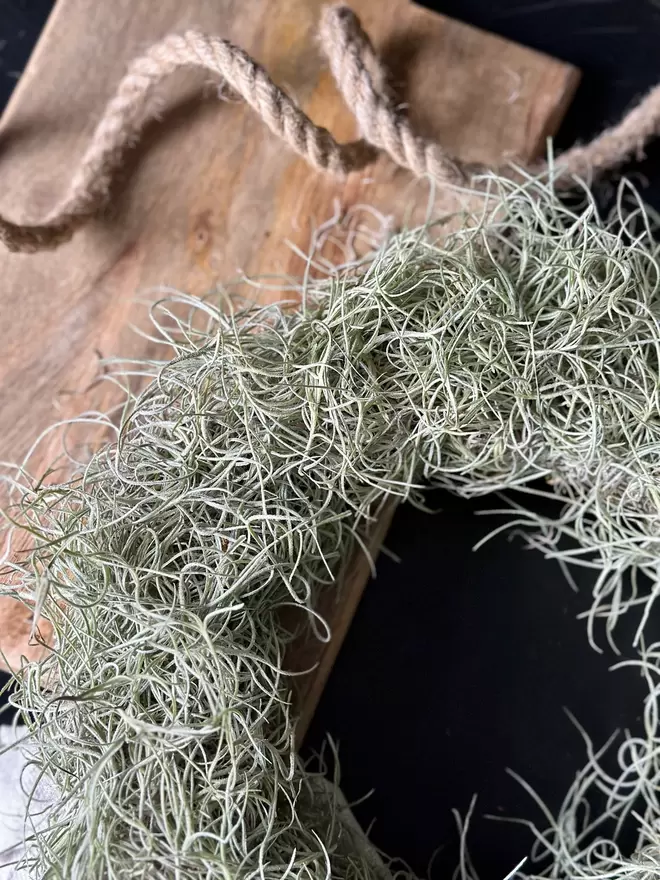 A circular wreath arrangement made of Tillandsia Usneoides. A long piece of jute hangs from the top of the wreath, it lays on a black table with a slim wooden board which sits slightly underneath the wreath. The contrasting black and brown beautifully enhances the green Tillandsia.  