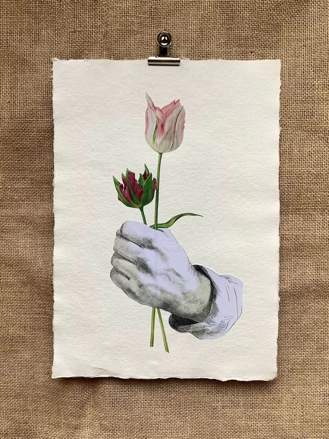 A monochrome hand holding colourful tulips.