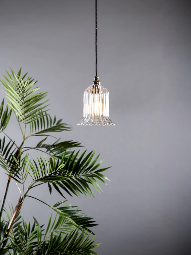 Small Clear Ribbed Glass Humphrey Pendant Light