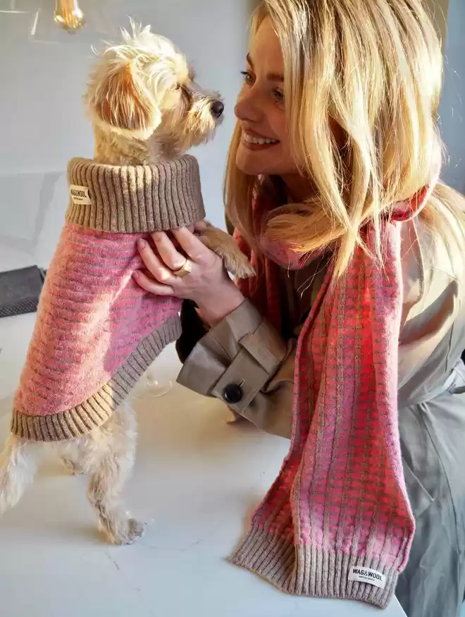 small dog in a pink dog jumper and a lady in a matching pink scarf