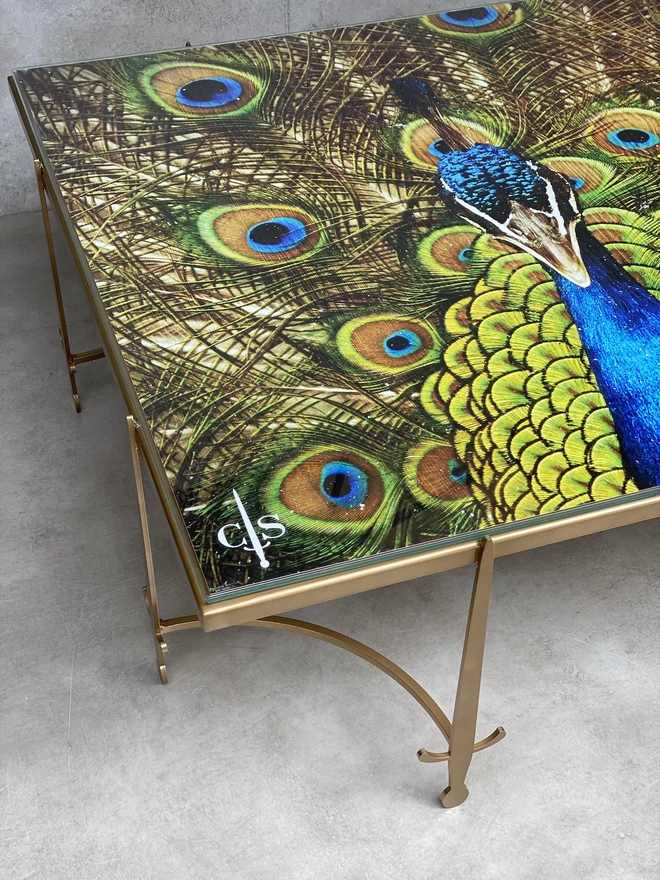 image of a peacock on a glass table