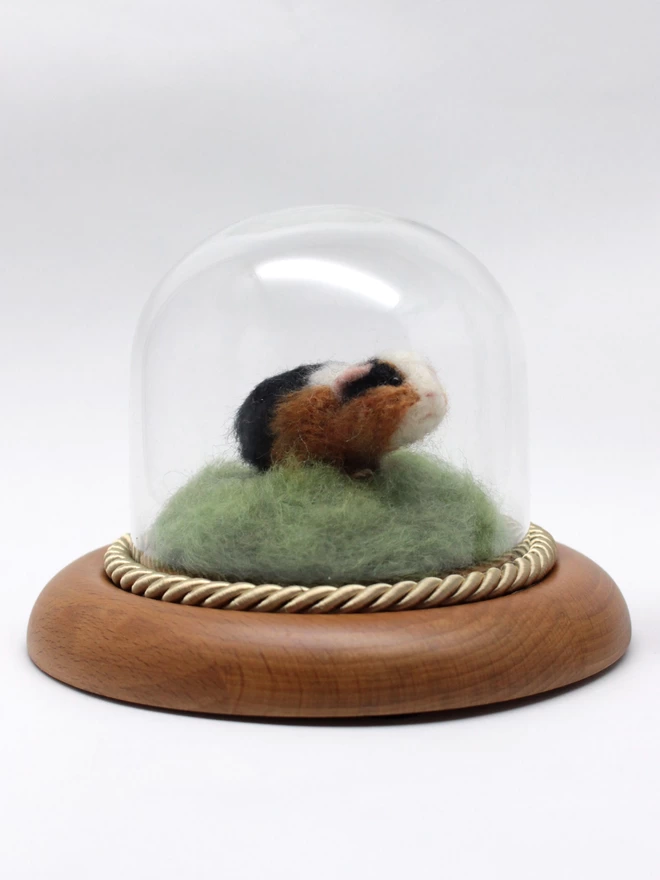 Needle-felted guinea pig sculpture inside glass dome