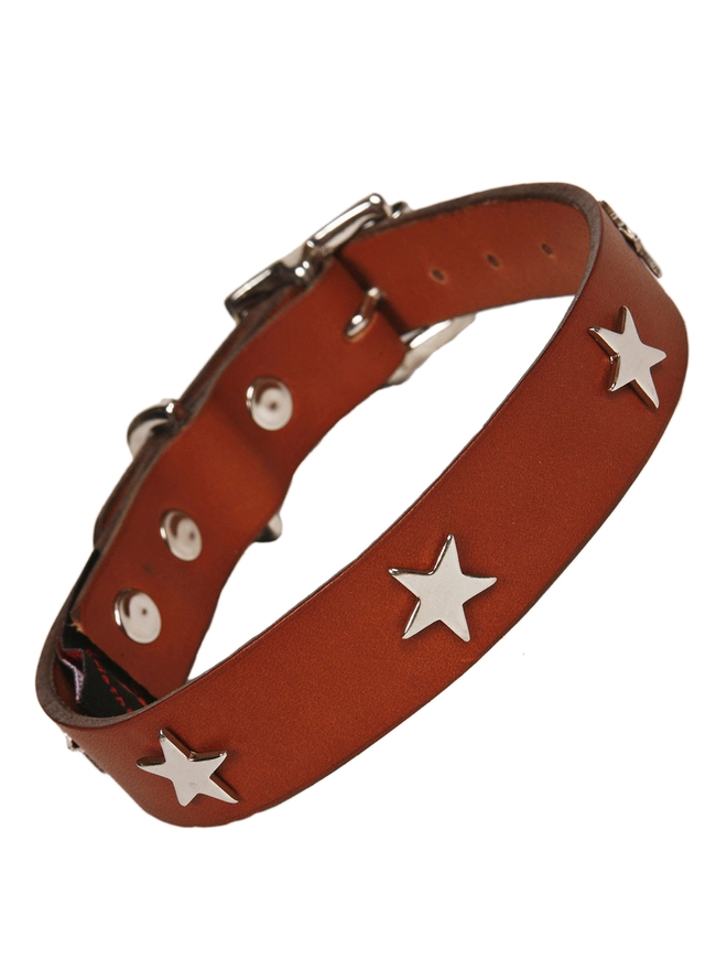 Creature Clothes Tan Leather Dog Collar with Star Studs