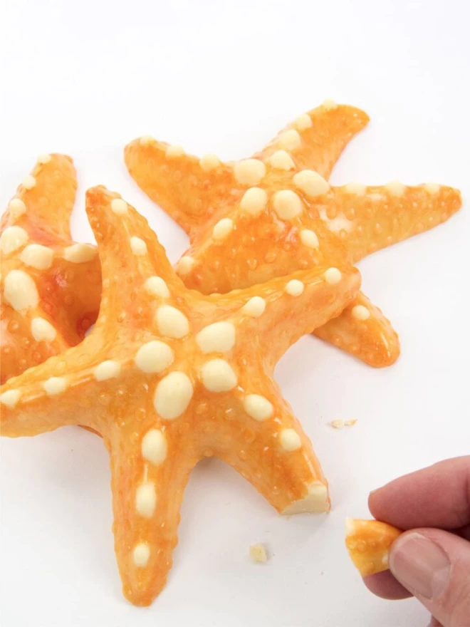 Realistic edible white chocolate starfish on white background