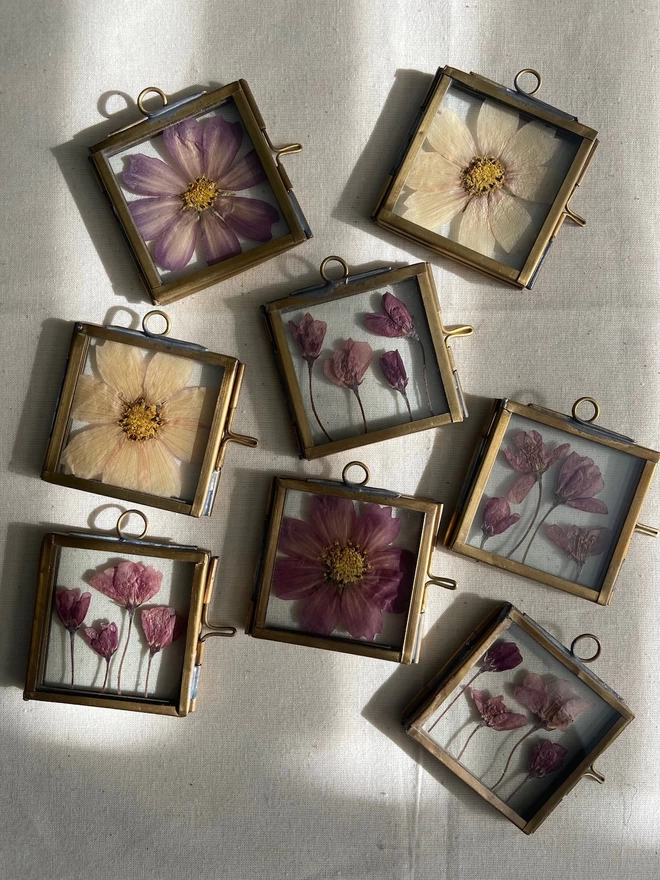 Multiple square frames with different pressed flowers
