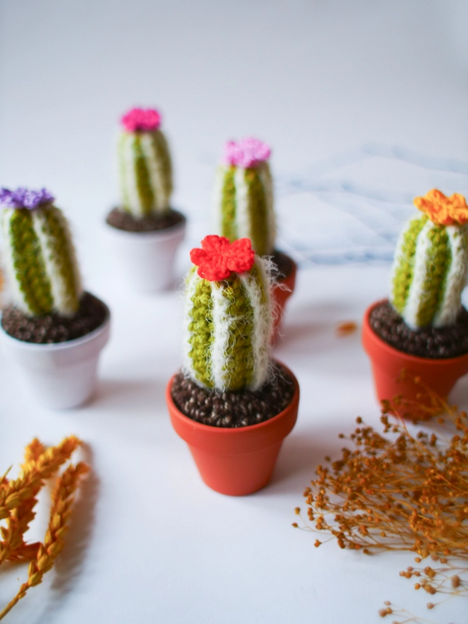 crochet cactus