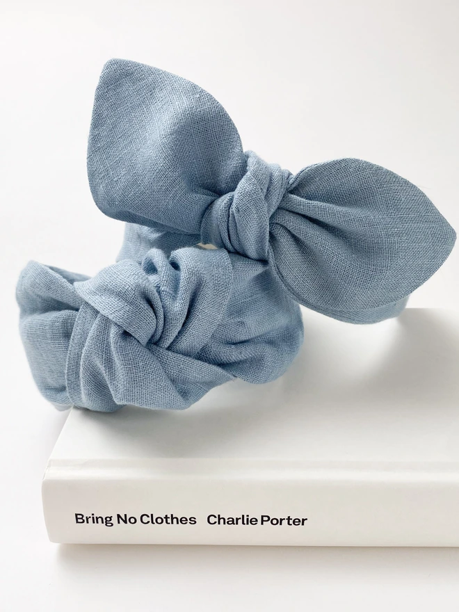 Two beautiful blue hairbands on my book by Charlie Porter called Bring no Clothes