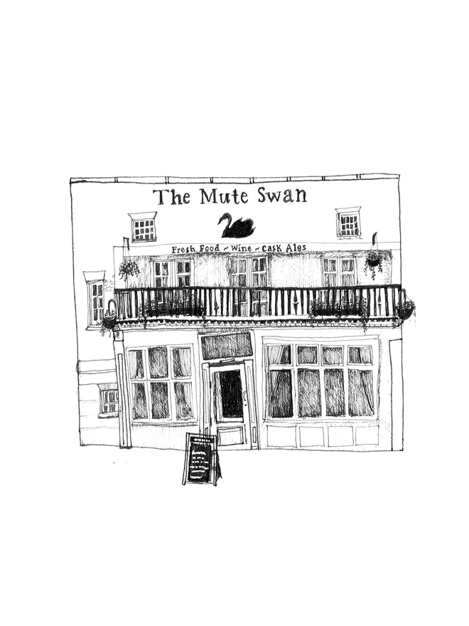 Illustration of the Mute Swan in Hampton Court 