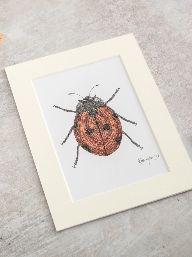 Print of intricately patterned pen and watercolour drawing of a ladybird, in a soft white mount