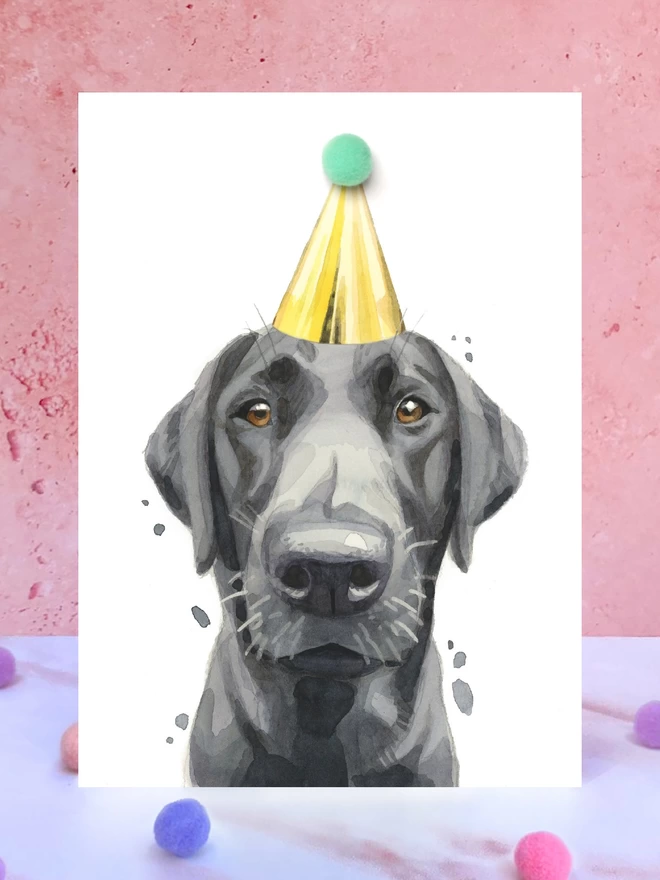 Black Labrador Pompom Birthday Celebration Collection Card in front of a pink background and surrounded by pompoms