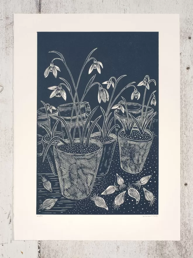 Picture of Snowdrops in Terracotta Pots in a Potting Shed, taken from an original Lino Print 