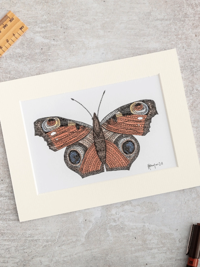 Print of intricately patterned pen and watercolour drawing of a Peacock butterfly, in a soft white mount