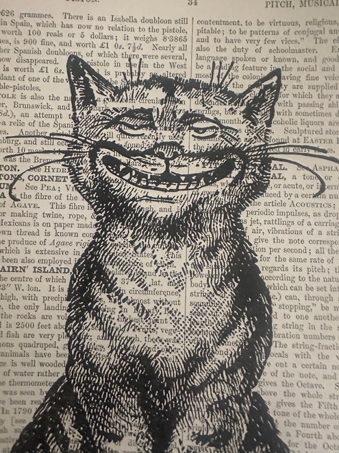cat detail
