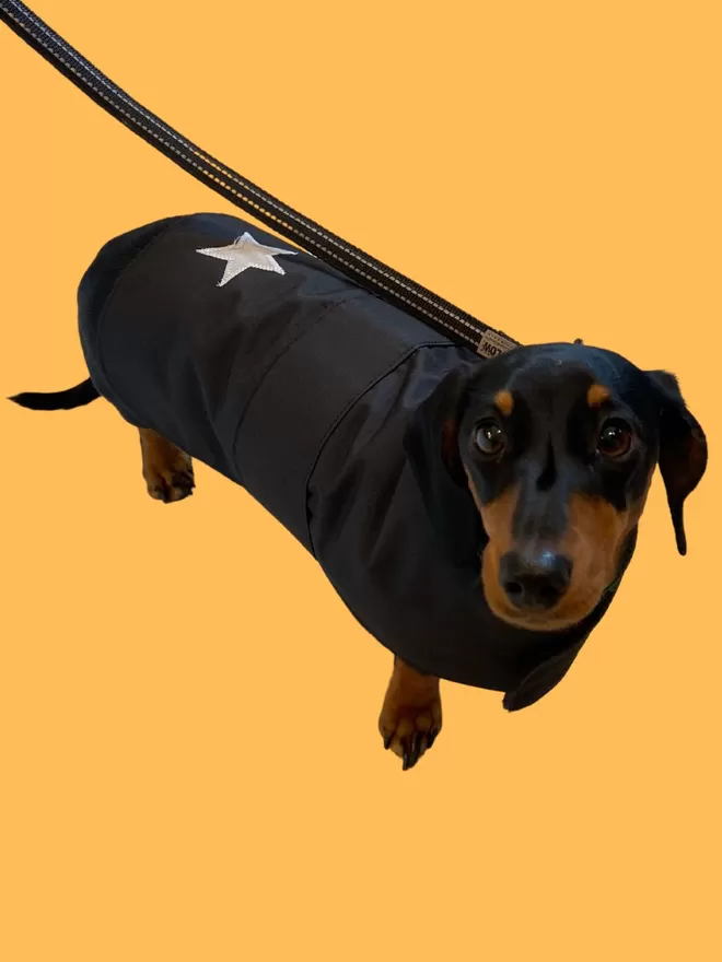 Black Waterproof Dog Coat For Daxies