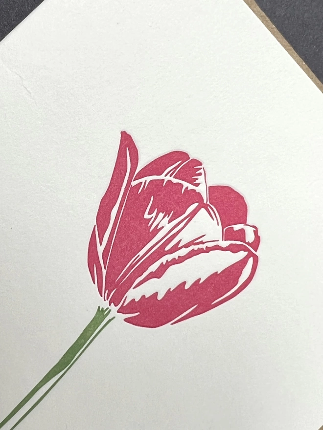 Close up of letterpress pink tulip note card