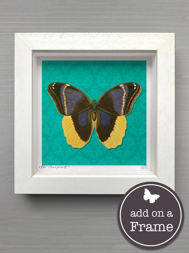 Frame option for butterflygram