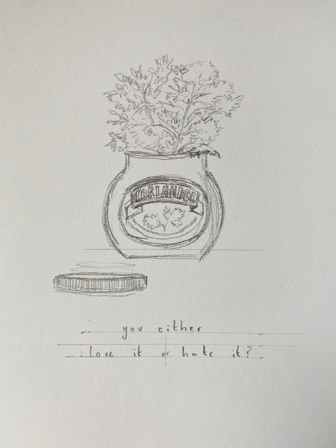 Pencil sketch of a Marmite jar with coriander coming out of the top and the lid laying next to the jar. The branding on the jar reads coriander (instead of marmite) with the same marmite writing style. Thin black hand lettering below reads ‘coriander, you either love it or hate it’. This is a working progress sketch from early stages of creation. 
