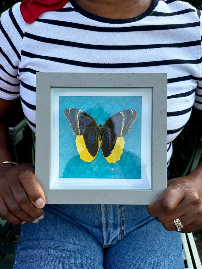 Framed gift of butterflygram