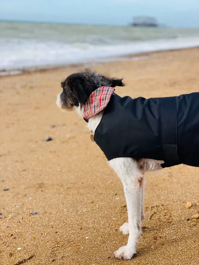 Black Waterproof Dog Coat