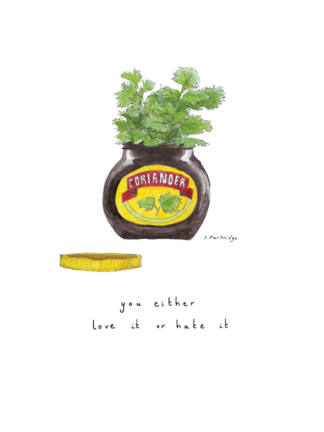 Watercolour painting of a Marmite jar with coriander coming out of the top and the lid laying next to the jar. The branding on the jar reads coriander (instead of marmite) with the same marmite writing style. Thin black hand lettering below reads ‘coriander, you either love it or hate it’. 