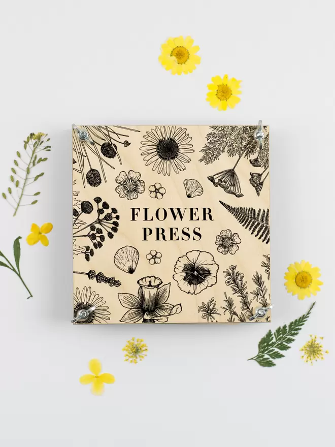 Square Flower Press with floral line design surrounded by pressed daisies and leaves.