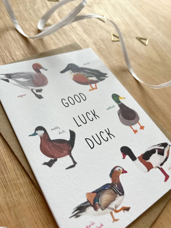 a greetings card featuring a selection of different species of ducks with the phrase “good luck duck”