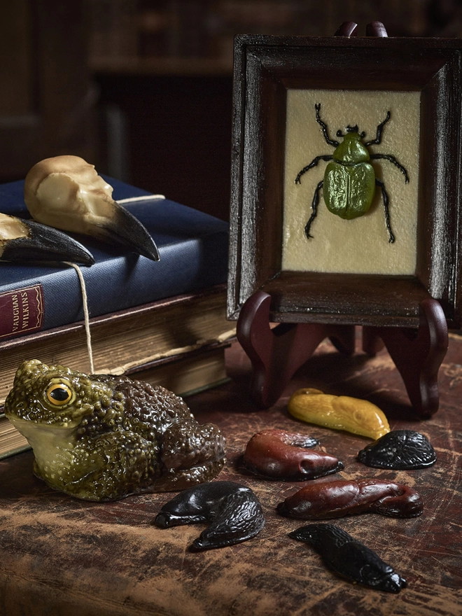 Realistic edible chocolate Chafer beetle in chocolate frame surrounded by a chocolate toad, slugs and crow skulls on antique background