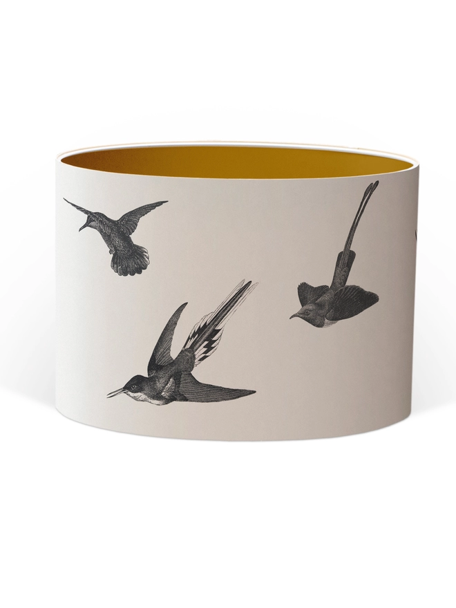 Drum Lampshade featuring hummingbirds with a Gold inner on a white background