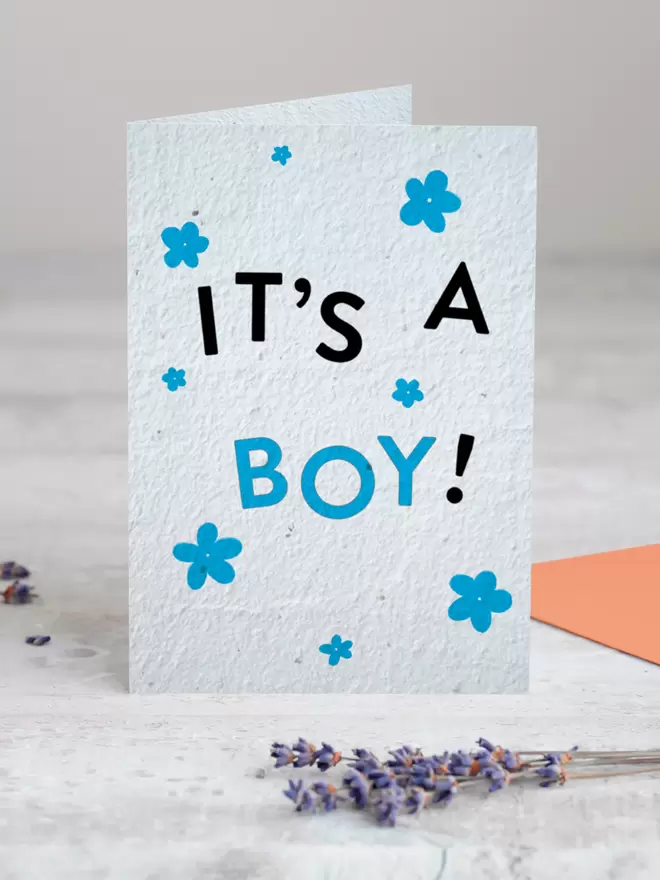 'It's A Boy' New Baby Plantable Card with Blue Flower Illustrations standing up with Lavender in front