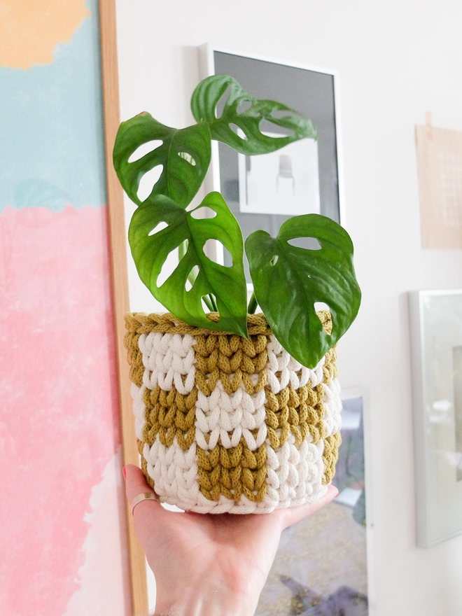 Crocheted rope yarn basket being used as a plant pot cover