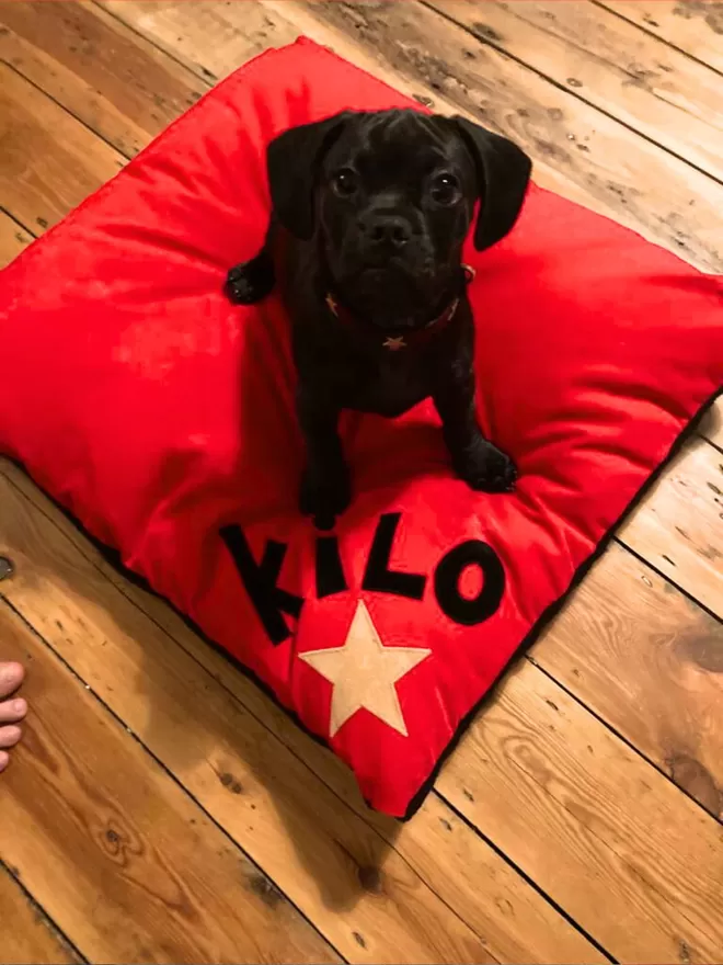 Personalised Dog Bed Red Faux-Suede