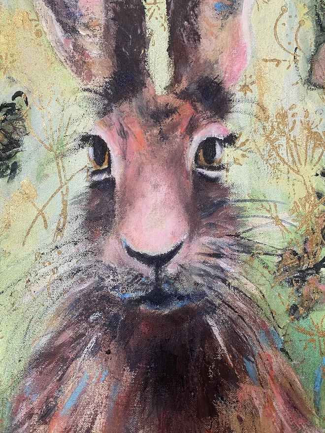 Hare detail