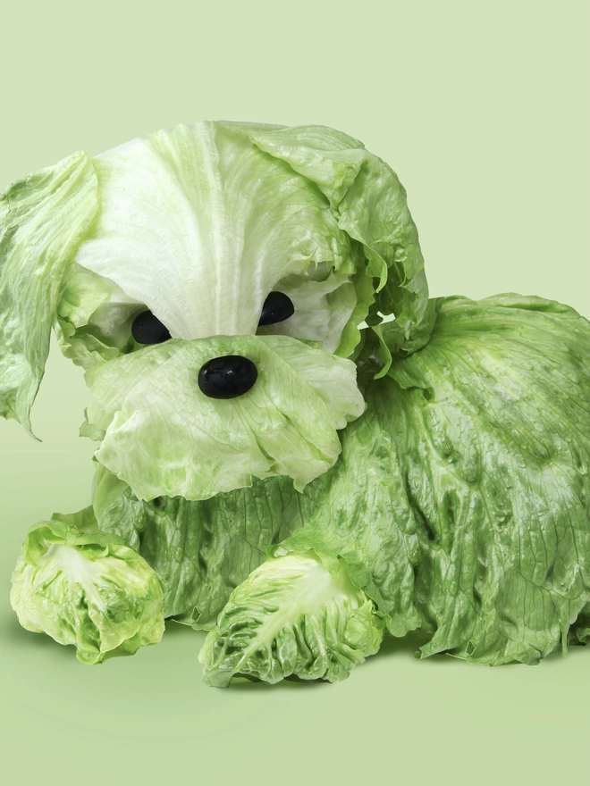 Edible pet print - a dog made out of lettuce called Crunchie