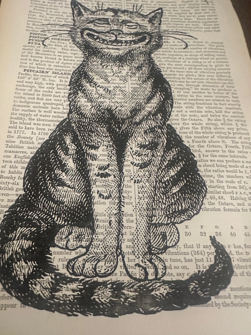 cat detail