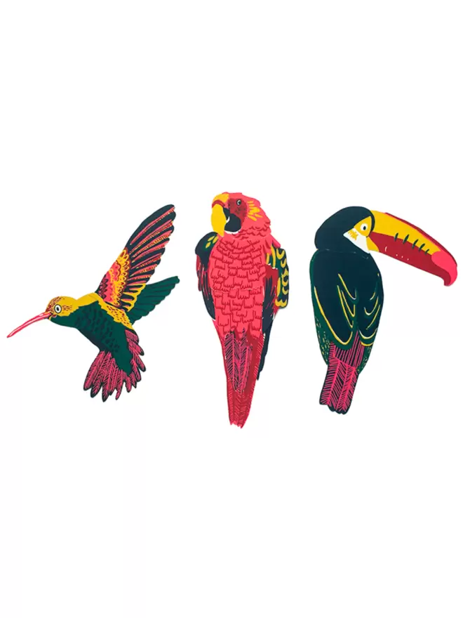 White cut-out shot: hummingbird, toucan and parrot greeting cards