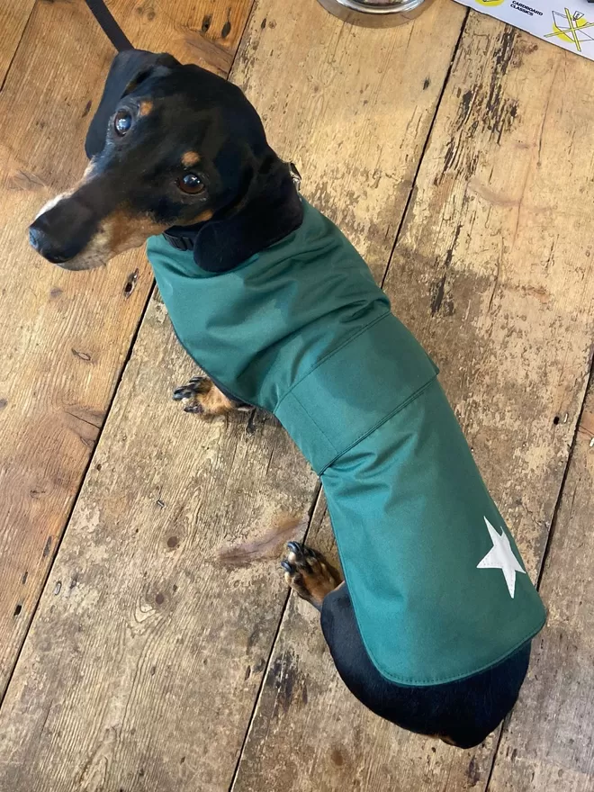 Green Waterproof Dog Coat