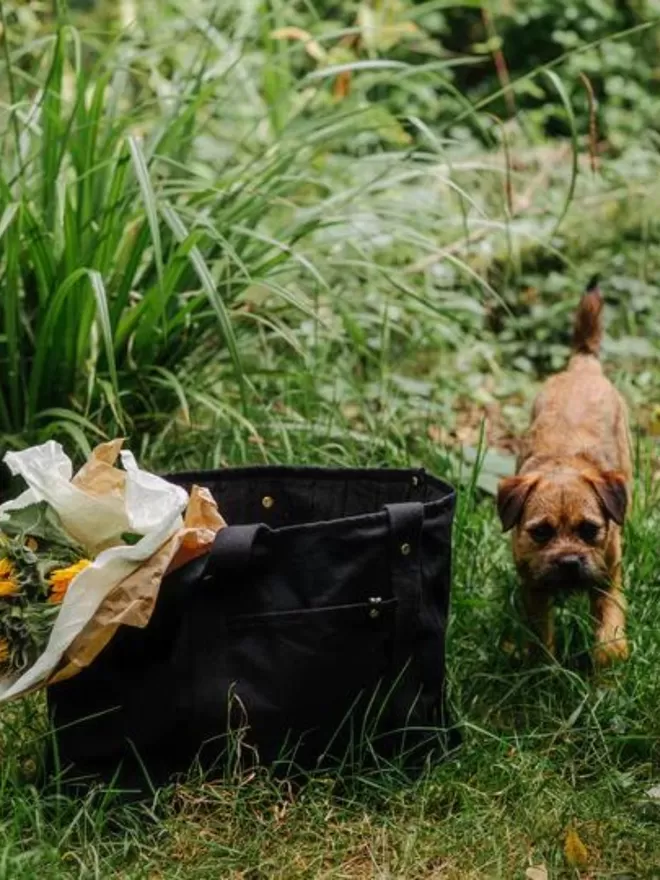 Luxury Dog Carrier Bag - Black