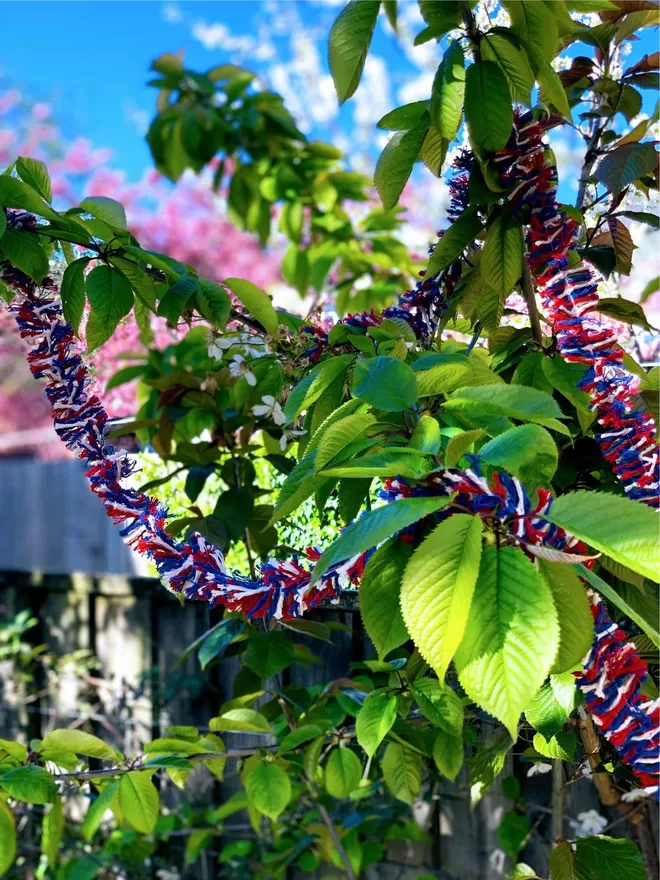 Red white and blue string tinsel hanging on a leafy cherry tree branch against blue sky.