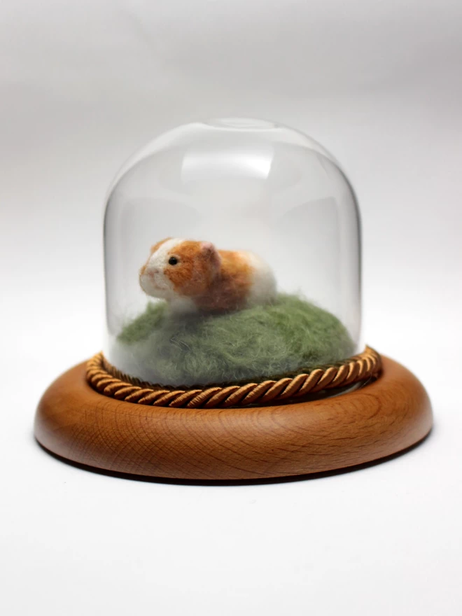 Needle-felted guinea pig sculpture in glass dome-left side