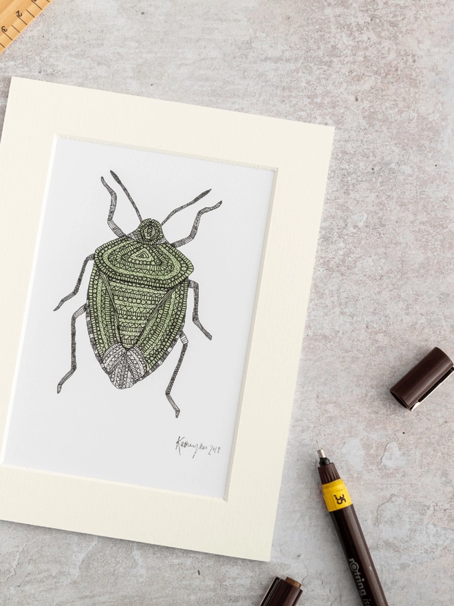Print of intricately patterned pen and watercolour drawing of a Green shield bug, in a soft white mount