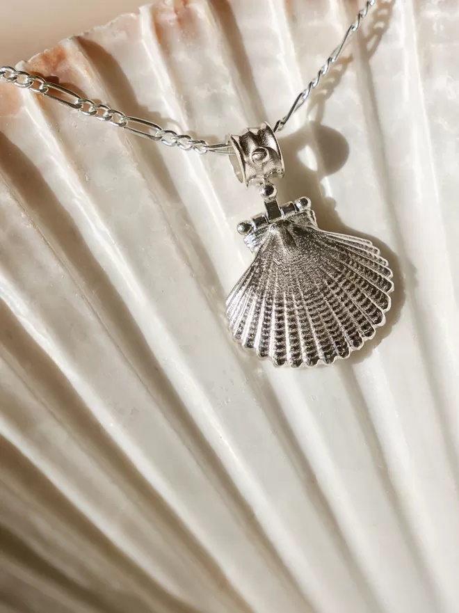 Silver clam shell pendant against white shell close up by Loft & Daughter