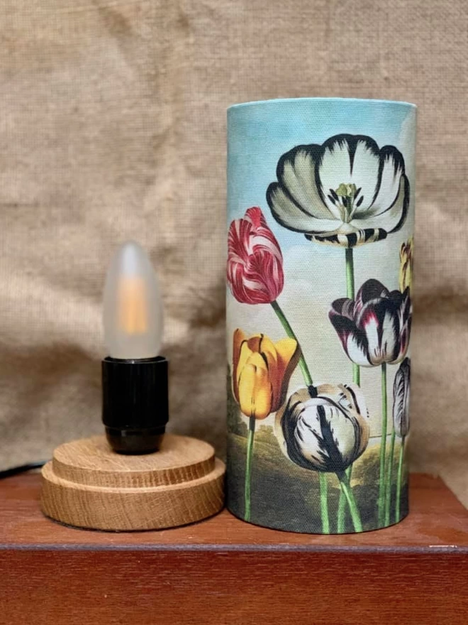 Handmade lamp with Dutch tulip shade.