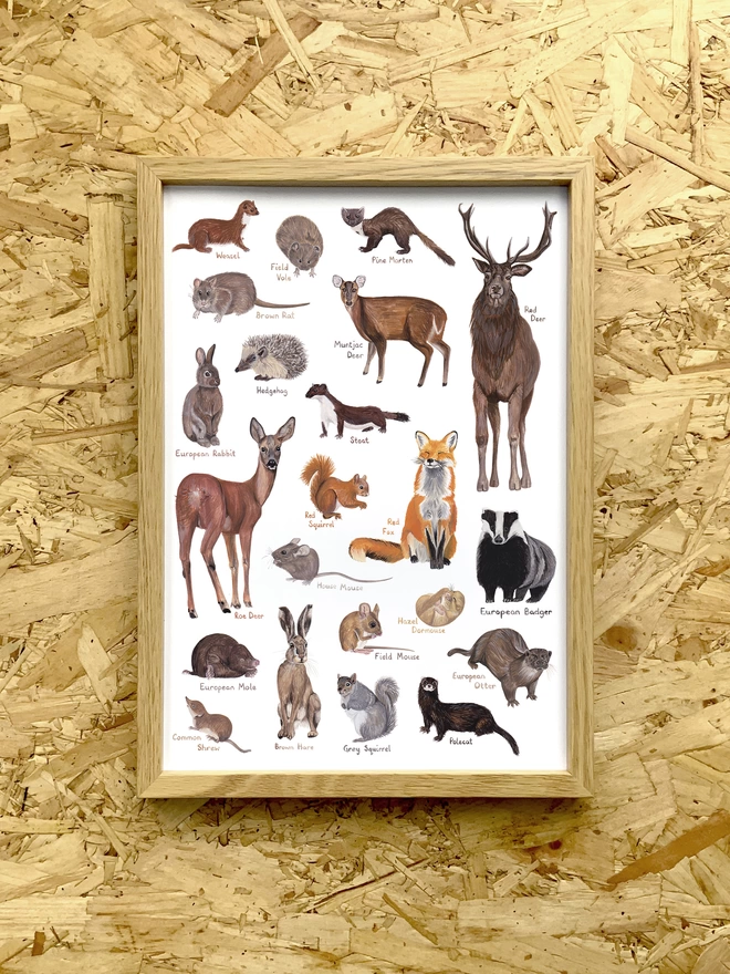 a print with a white background featuring a selection of British mammals