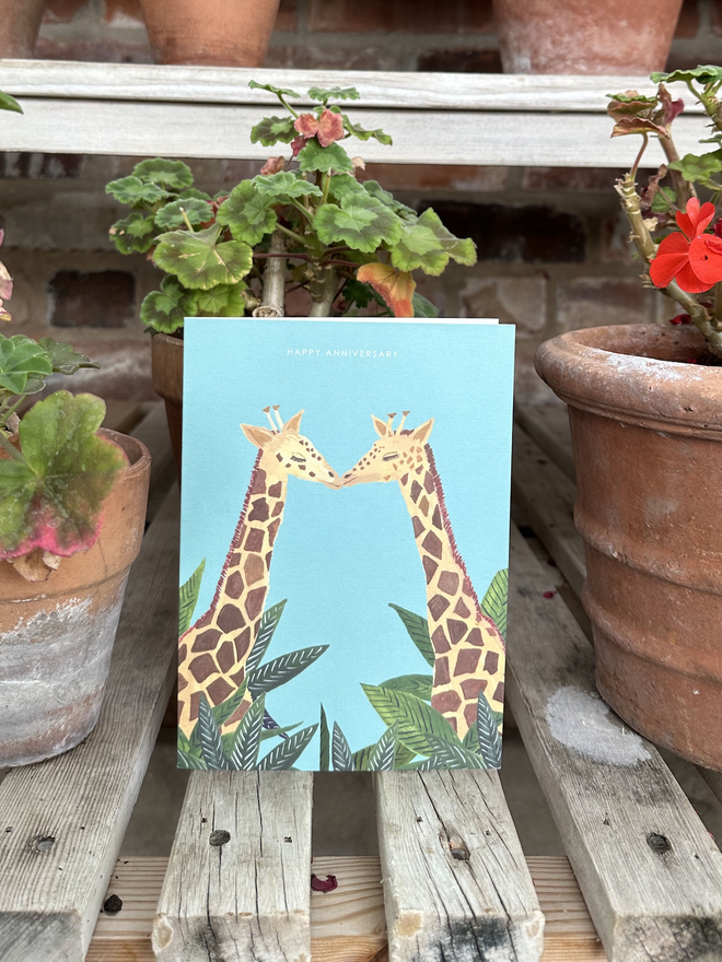 Giraffe Anniversary card
