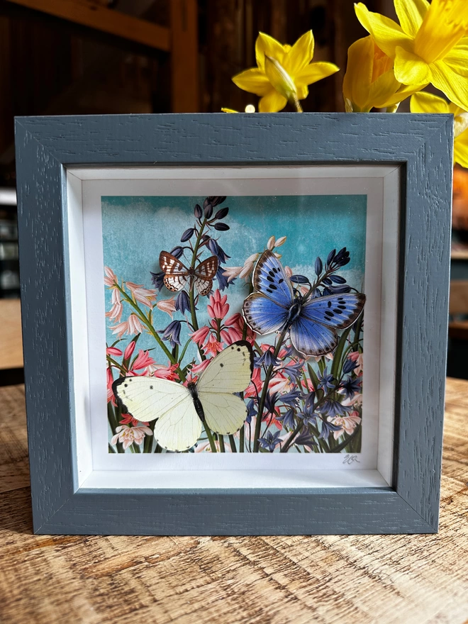 Dark grey box frame with bluebell floral print and three papercut butterflies. Blue, pink and white colours.