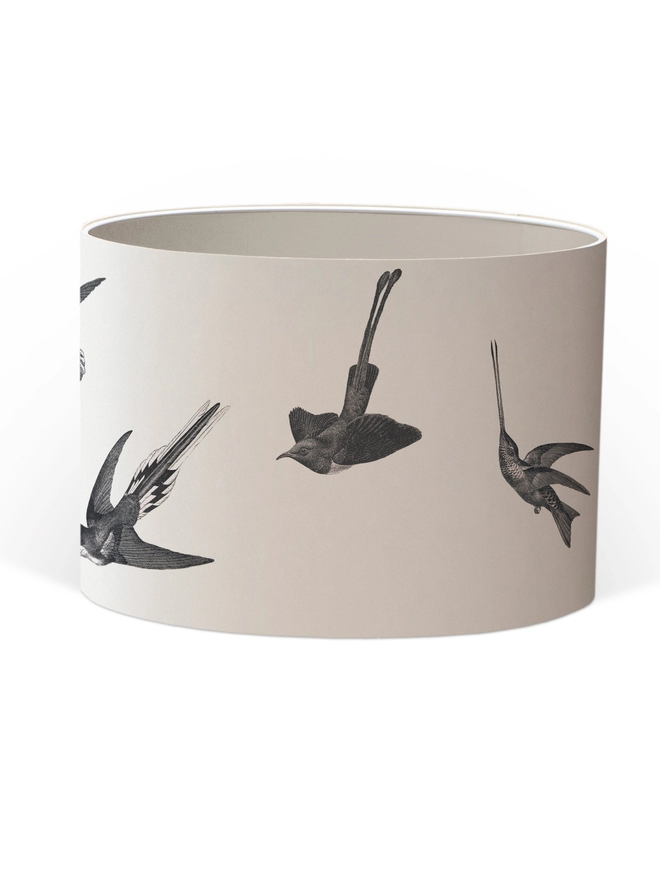Drum Lampshade featuring hummingbirds with a white inner on a white background