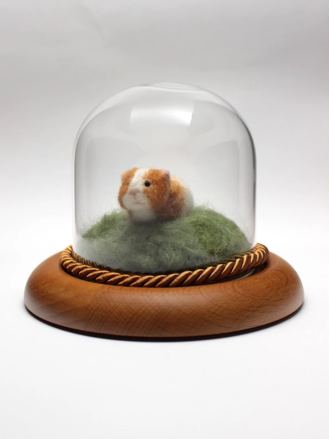 Needle-felted guinea pig sculpture in glass dome-front