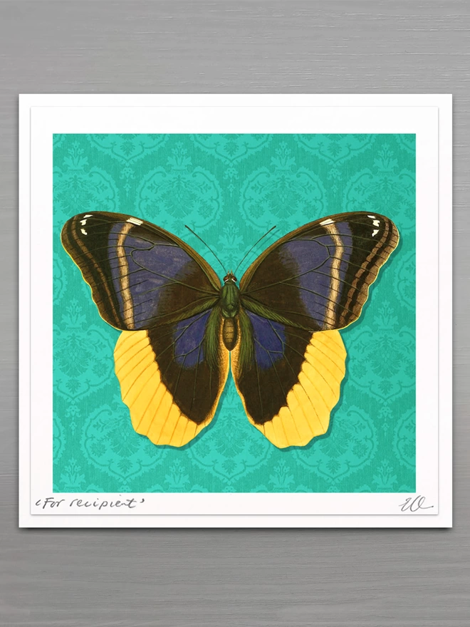 hand signed and personalised butterflygram